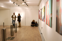 ESPACIO PARA EL ARTE SILVIA ANEL