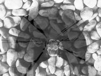 Beatus ille, que no guarda la belleza detrás de un epitafio.